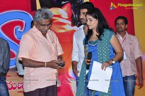 Nuvva Nena Audio Release