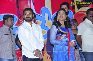 Nuvva Nena Audio Release