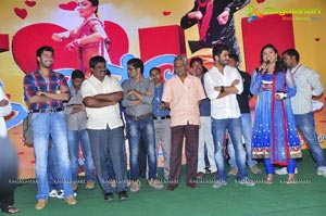 Nuvva Nena Audio Release