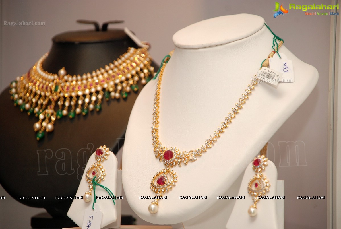 Petals 2012 Exhibition at Taj Krishna