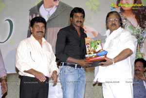 Poola Rangadu Double Platinum Disc