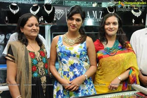 Shraddha das Launches D Sire Exhibition