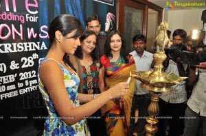 Shraddha das Launches D Sire Exhibition