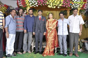 Vaakada Apparao Son Venkata Sasikumar-Sharwani Marriage