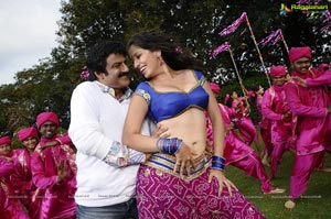 Balakrishna, Lakshmi Rai, Saloni