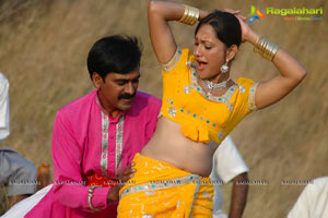 Narasimha Raju Movie Photos