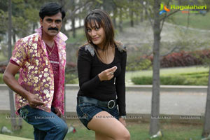 Narasimha Raju Movie Photos