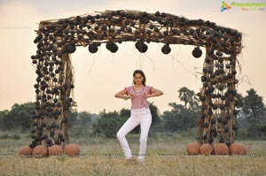 Taapsee Pannu