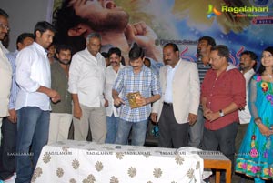 Manasuna Manasai Audio Release