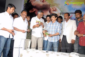 Manasuna Manasai Audio Release