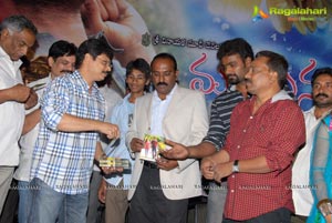 Manasuna Manasai Audio Release