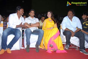 Mr. Pellikoduku Audio Release