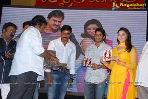 Mr. Pellikoduku Audio Release