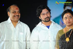 Mr. Pellikoduku Audio Release