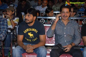 Mr. Pellikoduku Audio Release