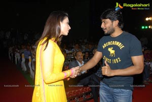 Mr. Pellikoduku Audio Release