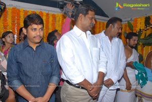 NTR-Samantha Bellamkonda Suresh Muhurat