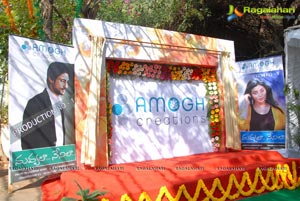 Nuvvala Nenila Muhurat