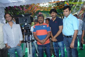 Nuvvala Nenila Muhurat