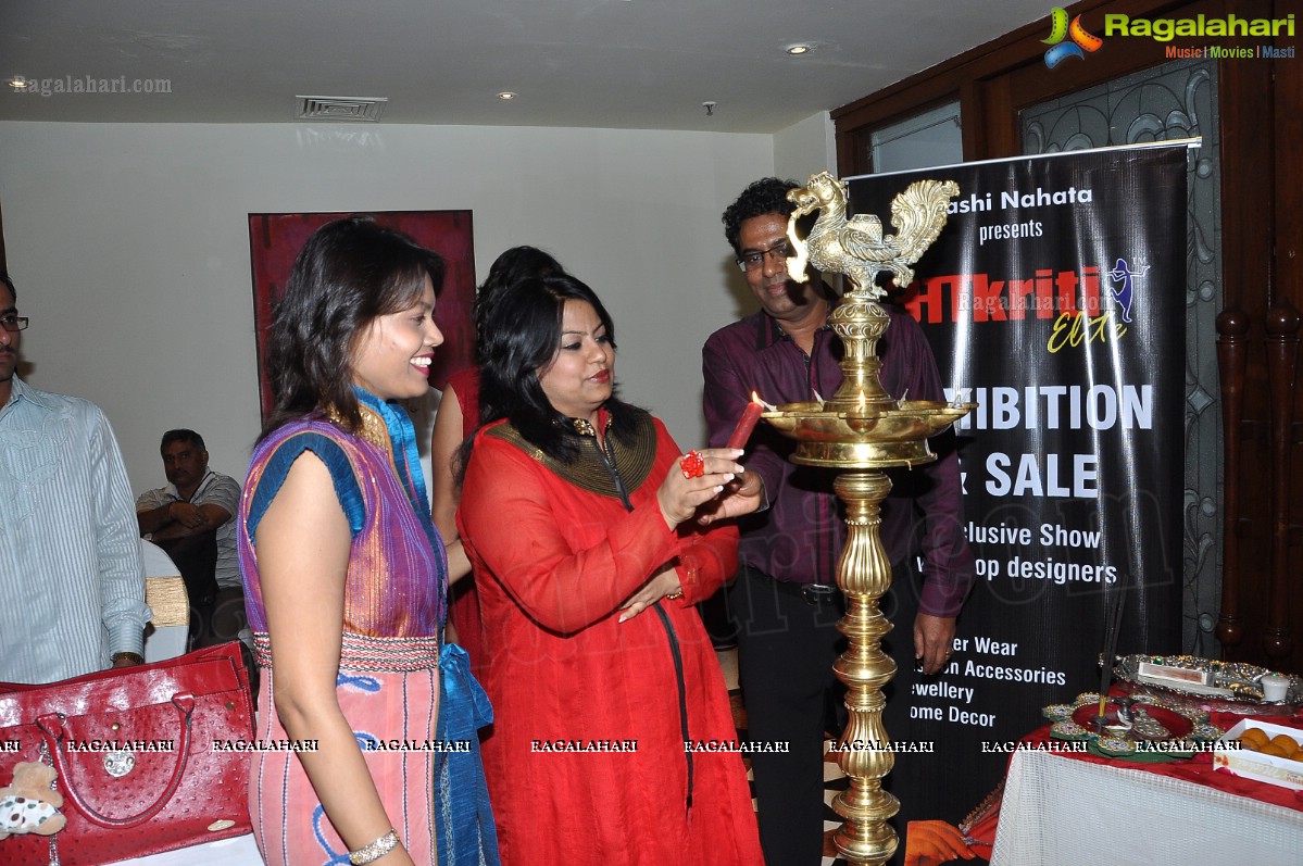 Sashi Nahata's Akritti Elite Exhibition (February 2013), Hyderabad