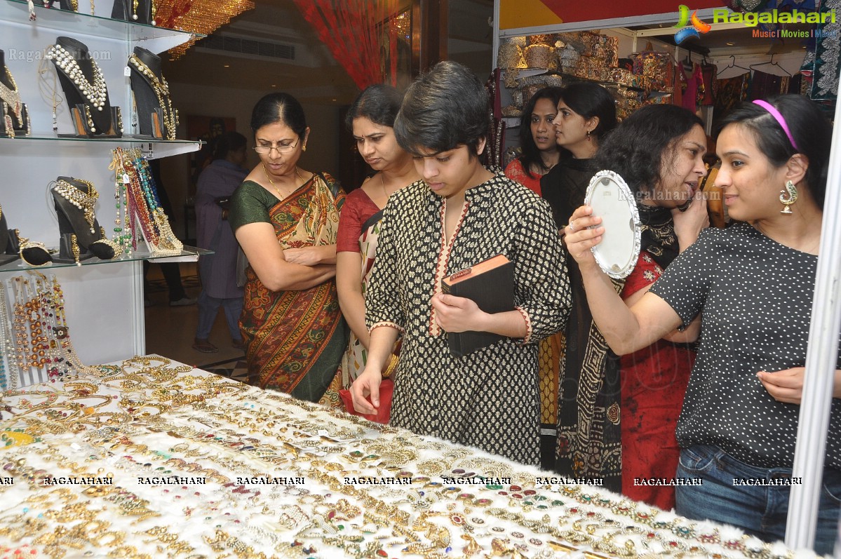 Sashi Nahata's Akritti Elite Exhibition (February 2013), Hyderabad