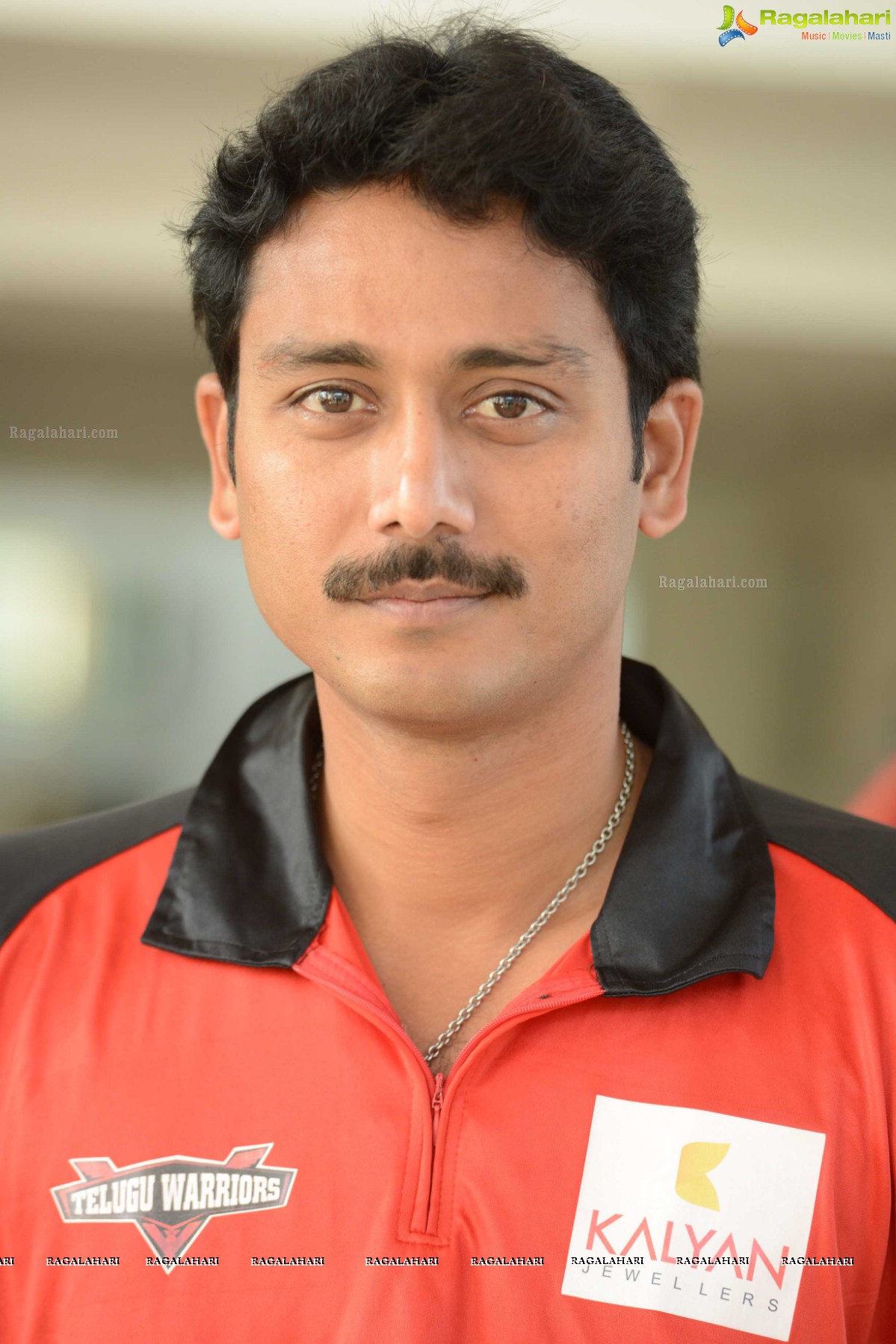 CCL 3: Telugu Warriors Team