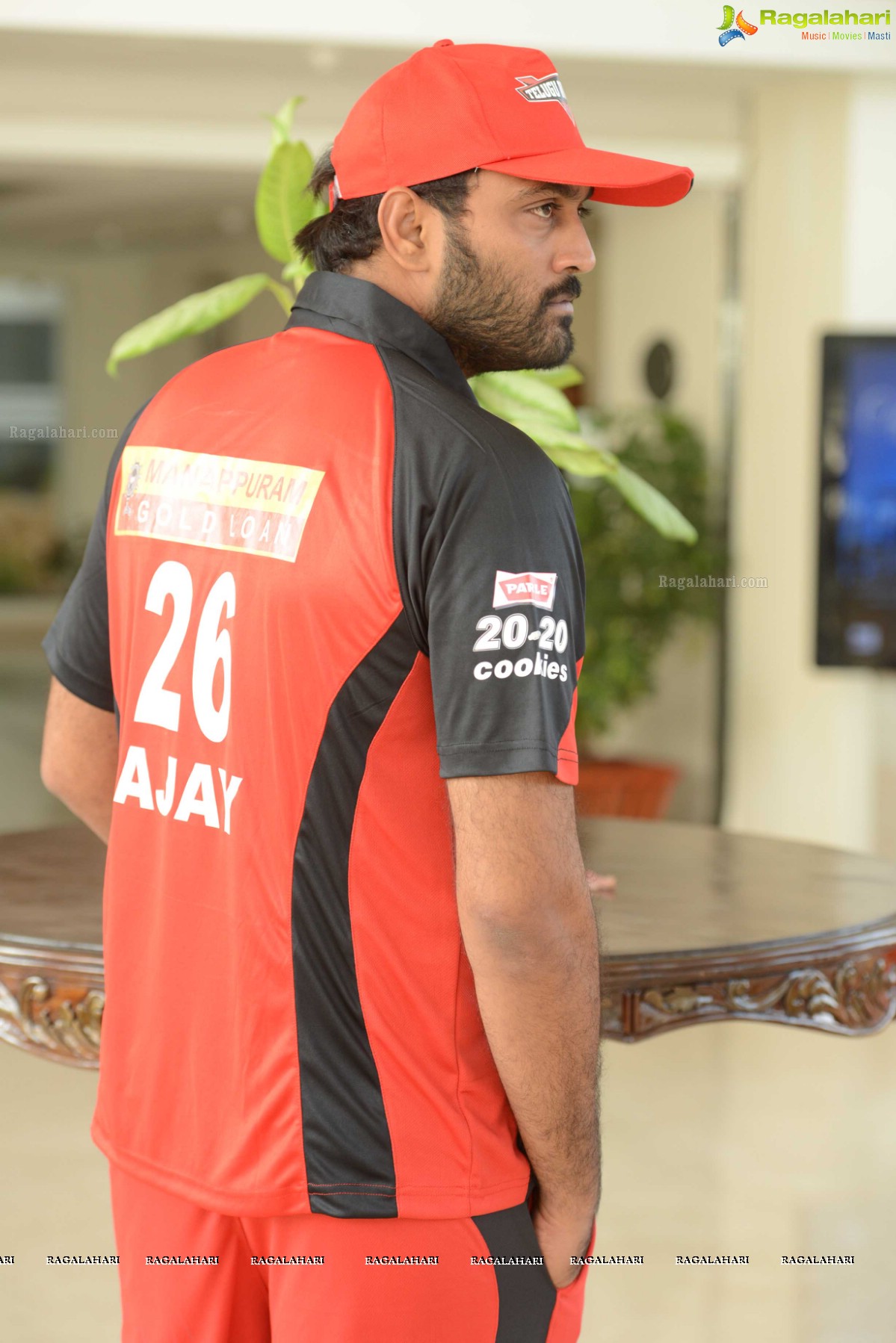 CCL 3: Telugu Warriors Team