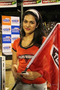 CCL 2013 Telugu Warriors Vs Mumbai Heroes Match Photos