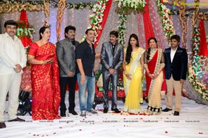 Gopichand Malineni Wedding Reception