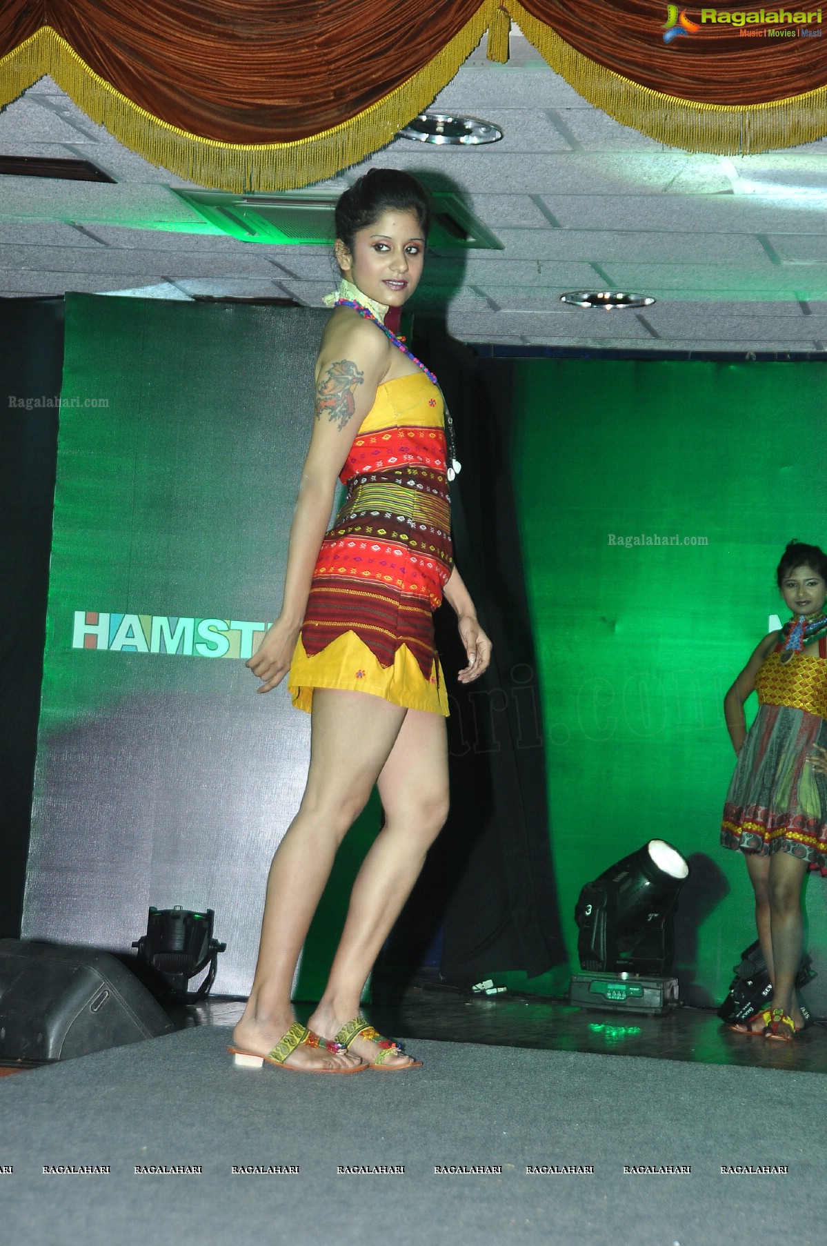 Hamstech Midterm Fashion Show 2013, Hyderabad