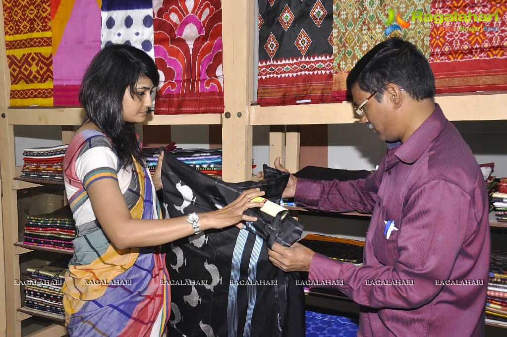 Pochampally IKAT Mela 2013 at Amrutha Mall, Somajiguda, Hyderabad