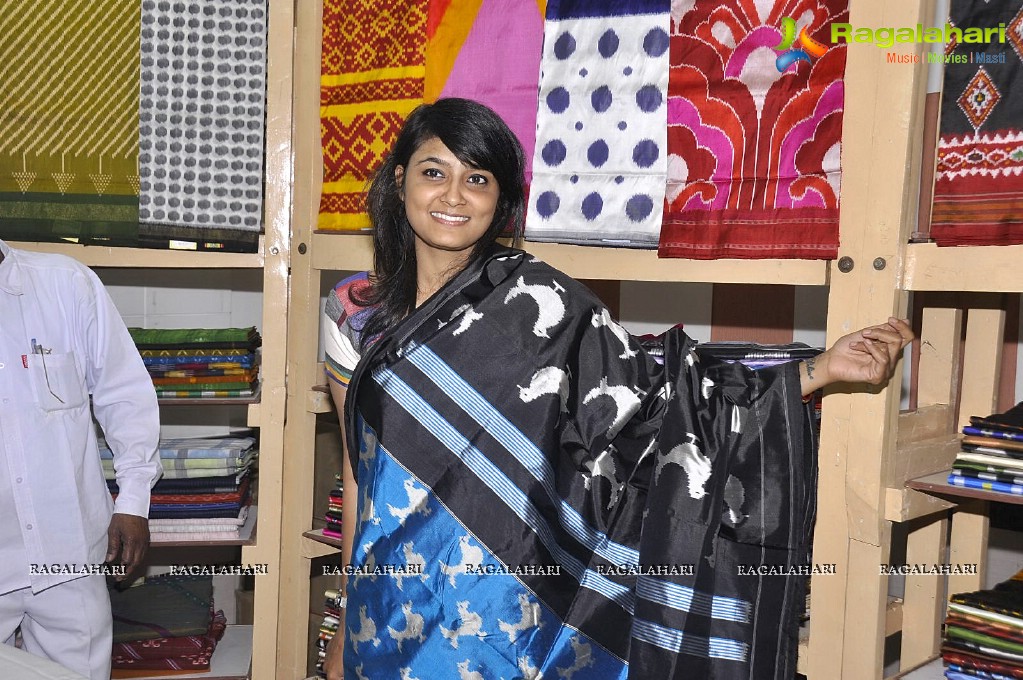 Pochampally IKAT Mela 2013 at Amrutha Mall, Somajiguda, Hyderabad