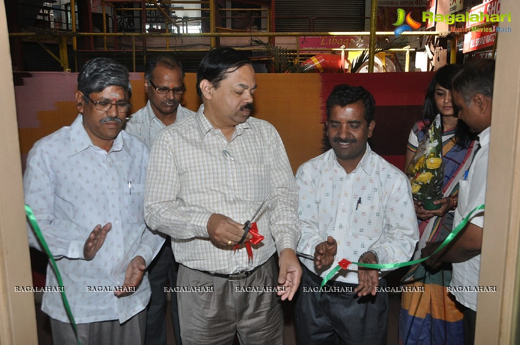 Pochampally IKAT Mela 2013 at Amrutha Mall, Somajiguda, Hyderabad