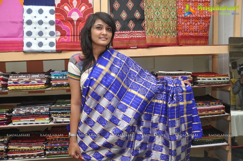 Pochampally IKAT Mela 2013 at Amrutha Mall, Somajiguda, Hyderabad