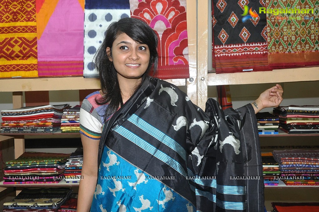 Pochampally IKAT Mela 2013 at Amrutha Mall, Somajiguda, Hyderabad