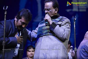 Ilayaraja New Jersey Concert Photos