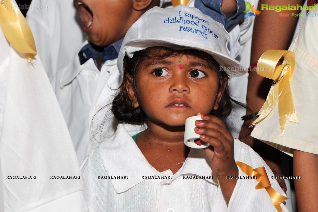 NIMS Hyderabad International Childhood Cancer Day 2013 Awareness Walk