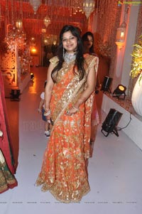 Kanika Ankush Wedding Reception