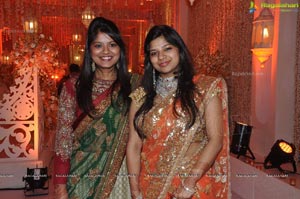 Kanika Ankush Wedding Reception