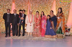 Kanika Ankush Wedding Reception