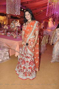 Kanika Ankush Wedding Reception