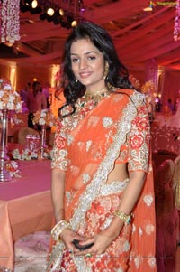 Kanika Ankush Wedding Reception