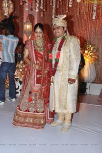 Kanika Ankush Wedding Reception