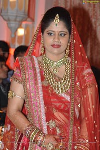 Kanika Ankush Wedding Reception