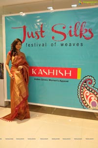 Kashish Just Silk Festival