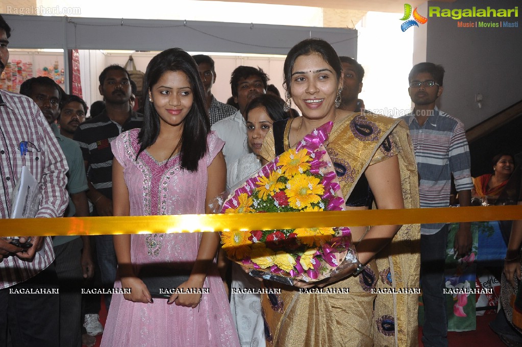 Parinaya Wedding Fair (February 2013) at Sathya Sai Nigamagamam, Hyderabad