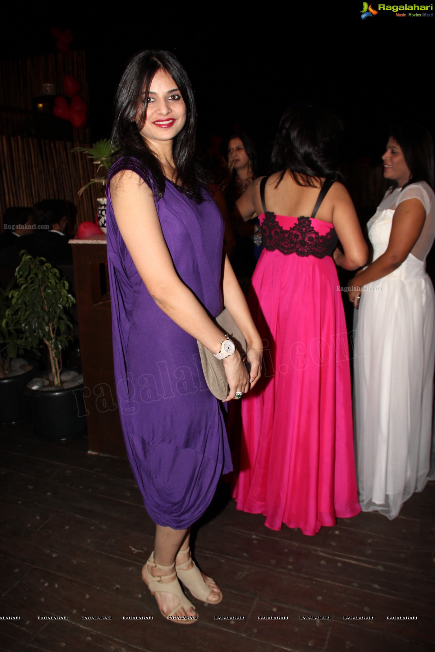 Club Se La Vie's 2013 Pre-Valentine's Bash, Hyderabad