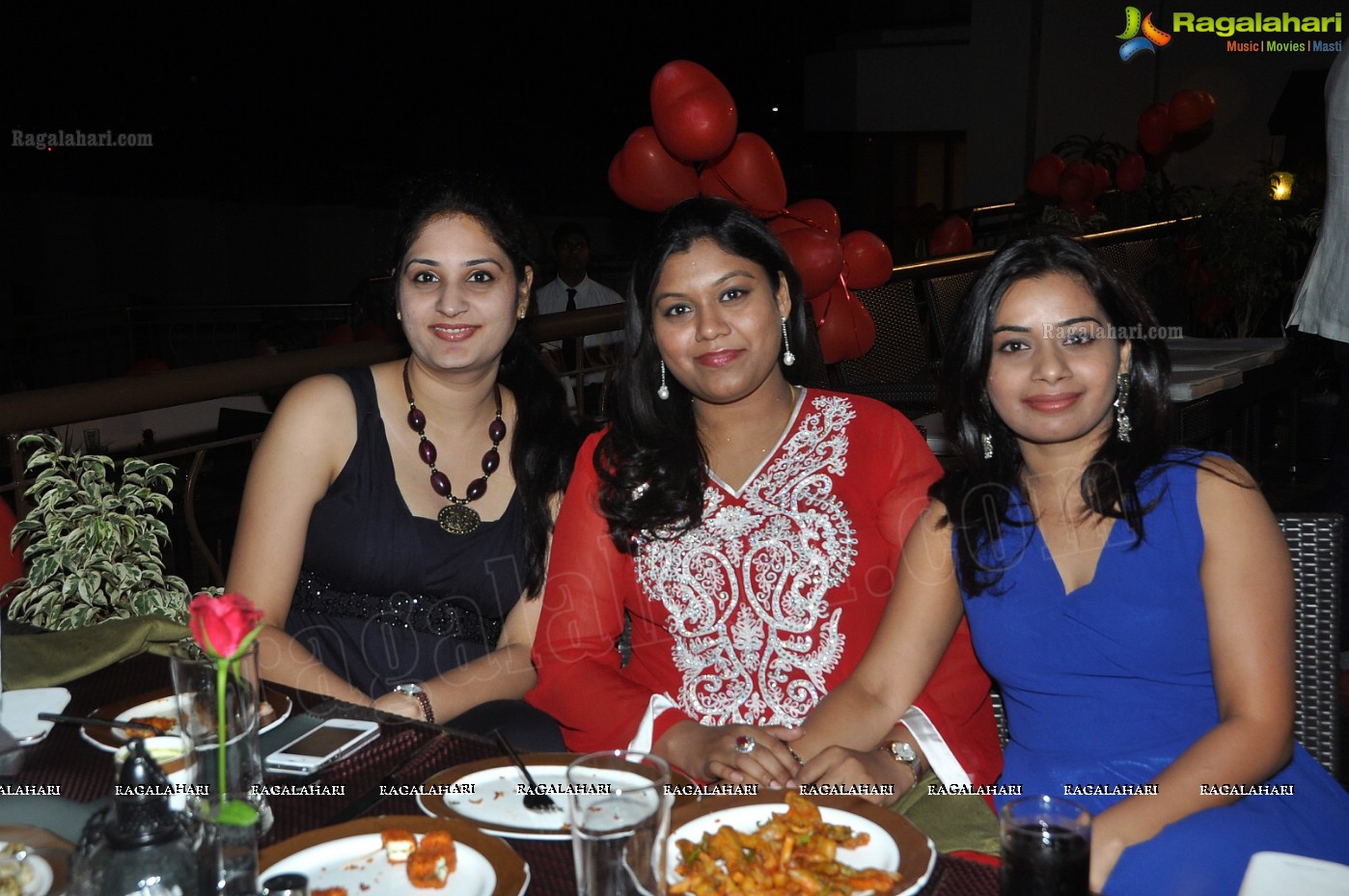 Club Se La Vie's 2013 Pre-Valentine's Bash, Hyderabad