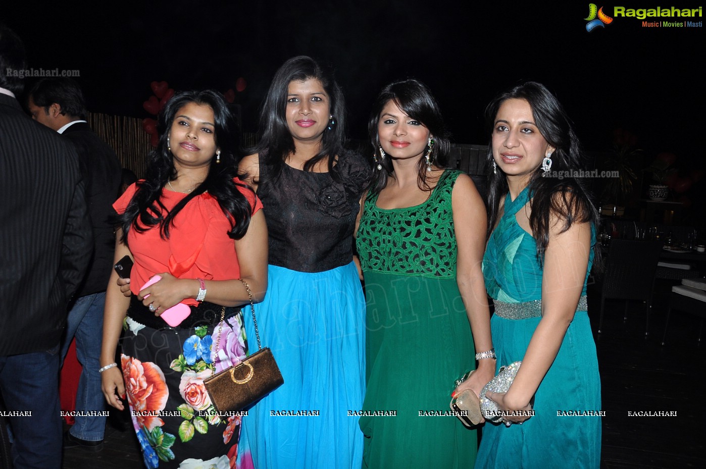 Club Se La Vie's 2013 Pre-Valentine's Bash, Hyderabad