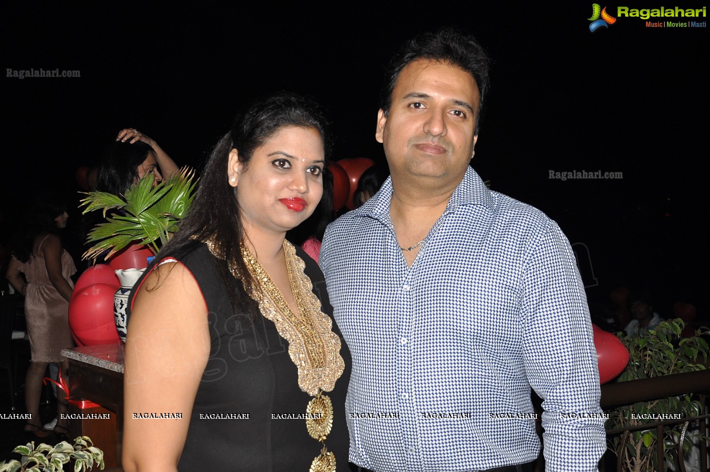 Club Se La Vie's 2013 Pre-Valentine's Bash, Hyderabad